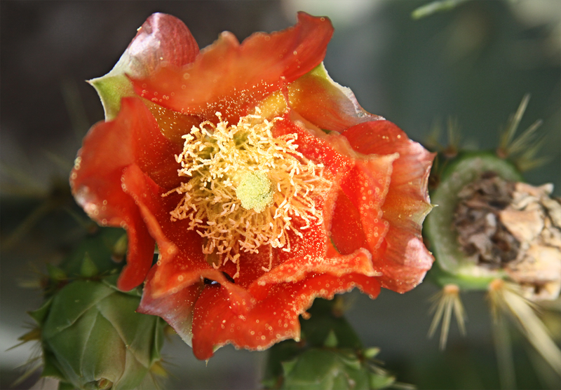 Illustration for article titled Spring has sprung: A Xyl0 photo gallery
